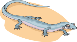 Blue Salamander In The Sand Clip Art